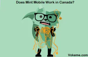 Does Mint Mobile Work in Canada