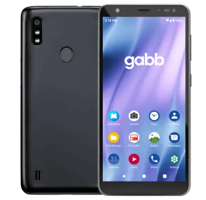 Wisephone vs Gabb Phone