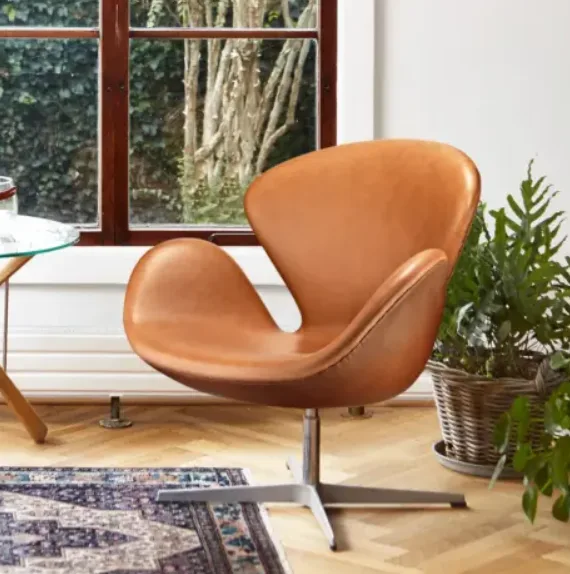 Sohnne Shell Chairs